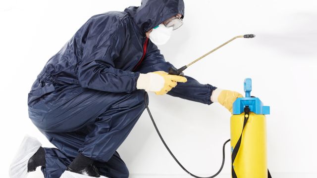 Trattamenti sanificazione