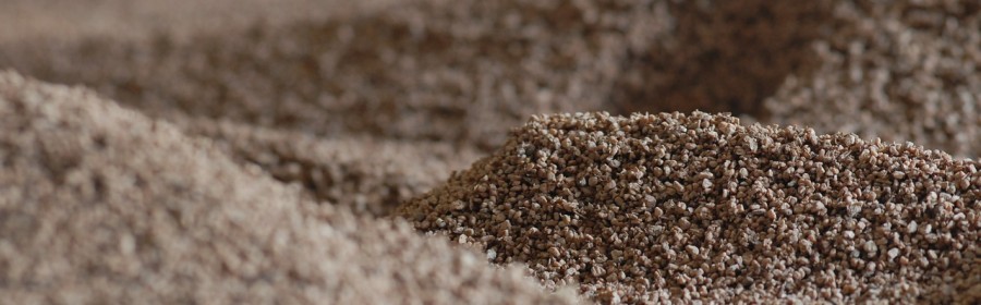 Produrre Energia dalla Biomassa