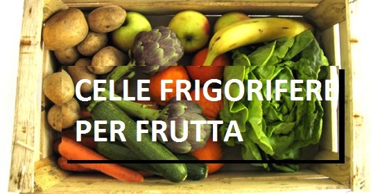 Celle frigorifere per la frutta: conservazione al primo posto