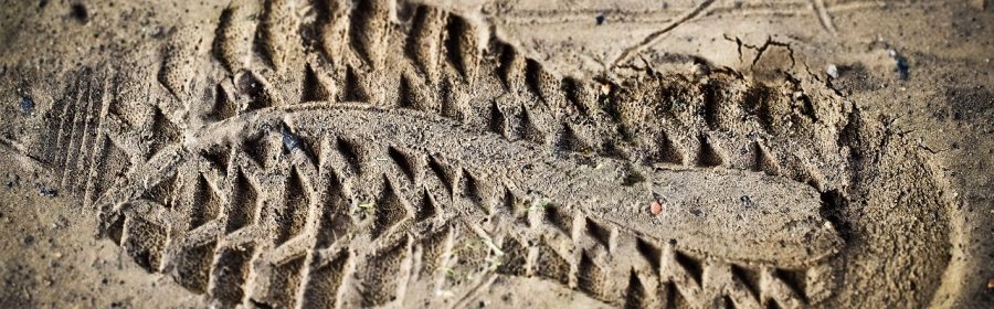 Anfibi militari: impossibile farne a meno!