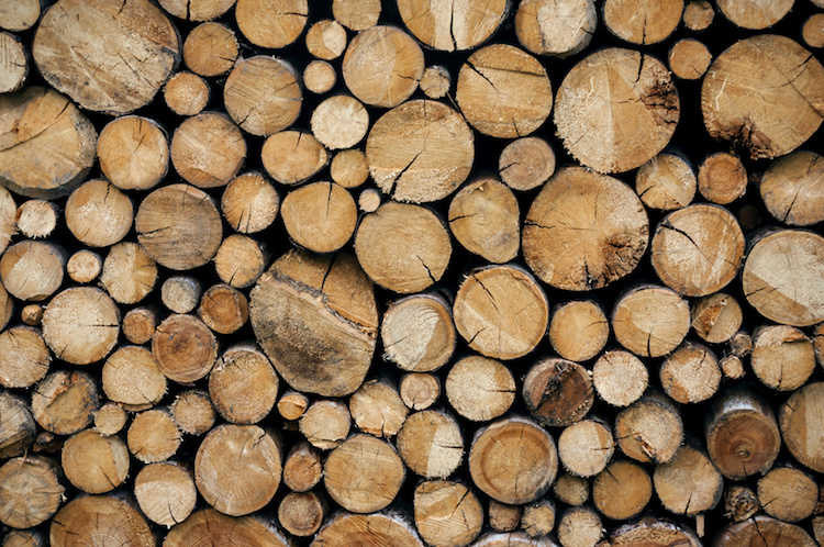 Cercare una falegnameria online